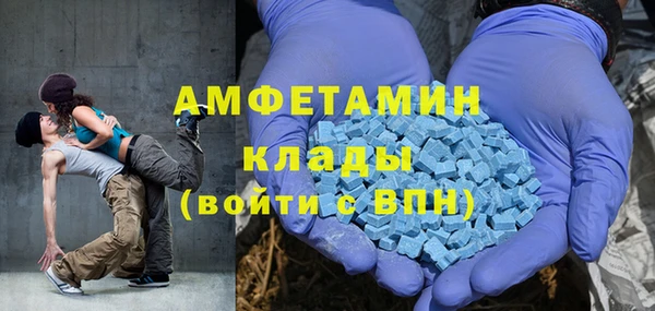 крисы Алзамай