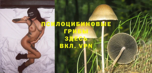 крисы Алзамай