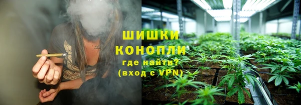 прущие грибы Арсеньев