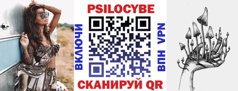 blacksprut tor  как найти   Абинск  Псилоцибиновые грибы Psilocybe 